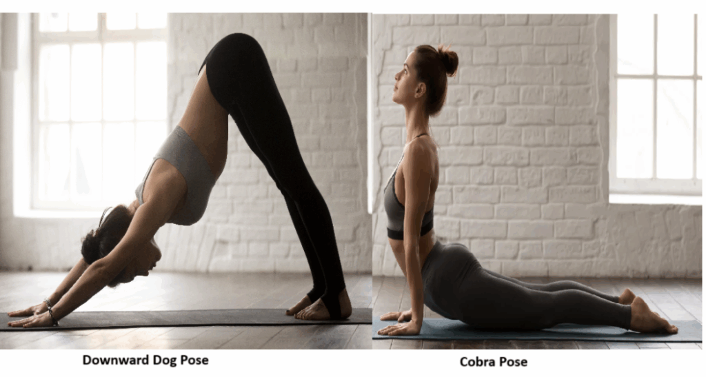 Blog | Transform Your Body & Mind in 15 Minutes a Day: The Life-Changing Power of Downward Dog & Cobra Pose